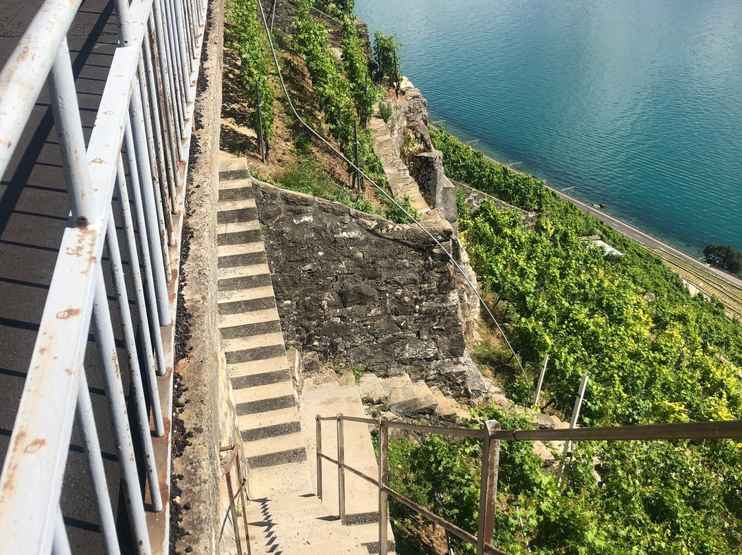 瑞士海滨红酒之旅景点图片