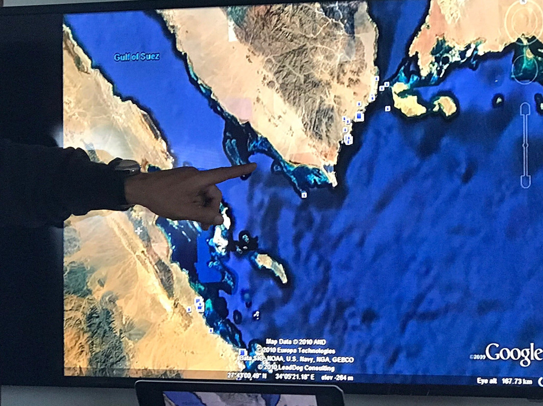 Pro Dive Centre-伊丽莎白港必去景点