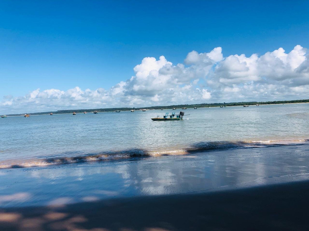 Pontal do Coruripe Beach景点图片