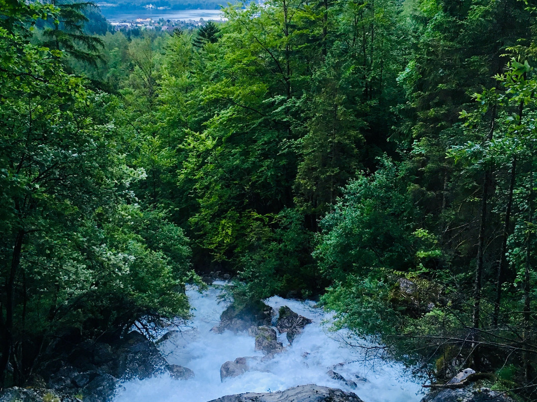 Waldbachstrub Waterfall景点图片