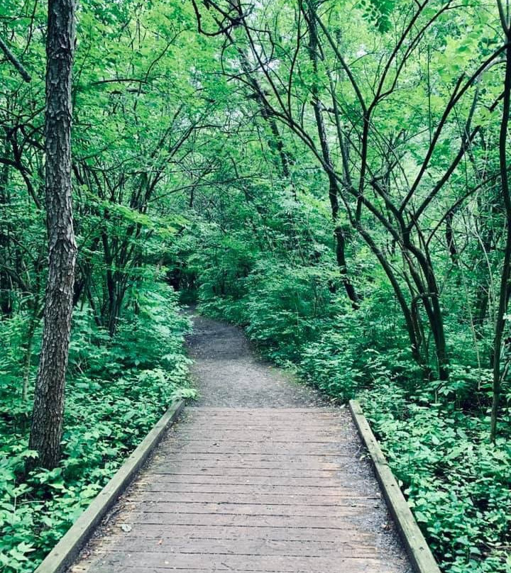 Gallup Park-安娜堡必去景点