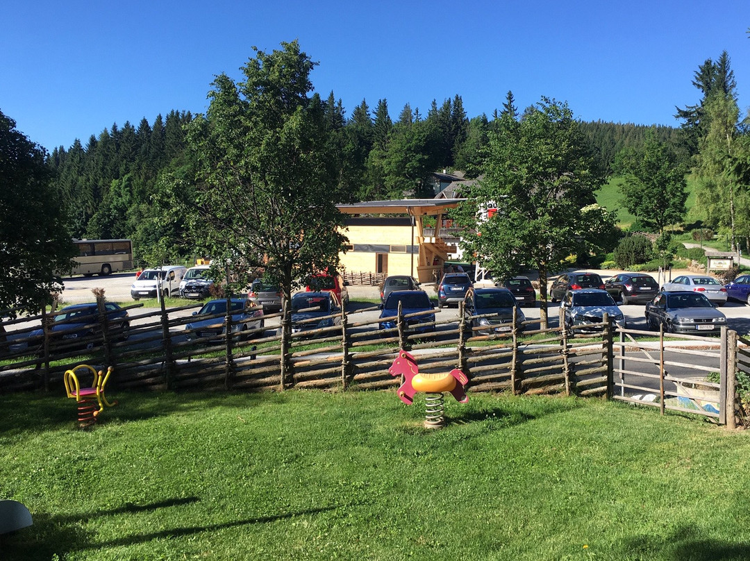 Naturhotel Bauernhofer主图