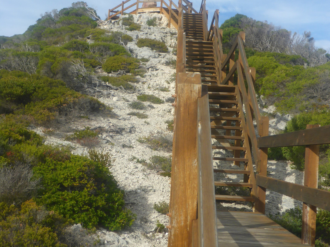 Observatory Point and Lookout景点图片