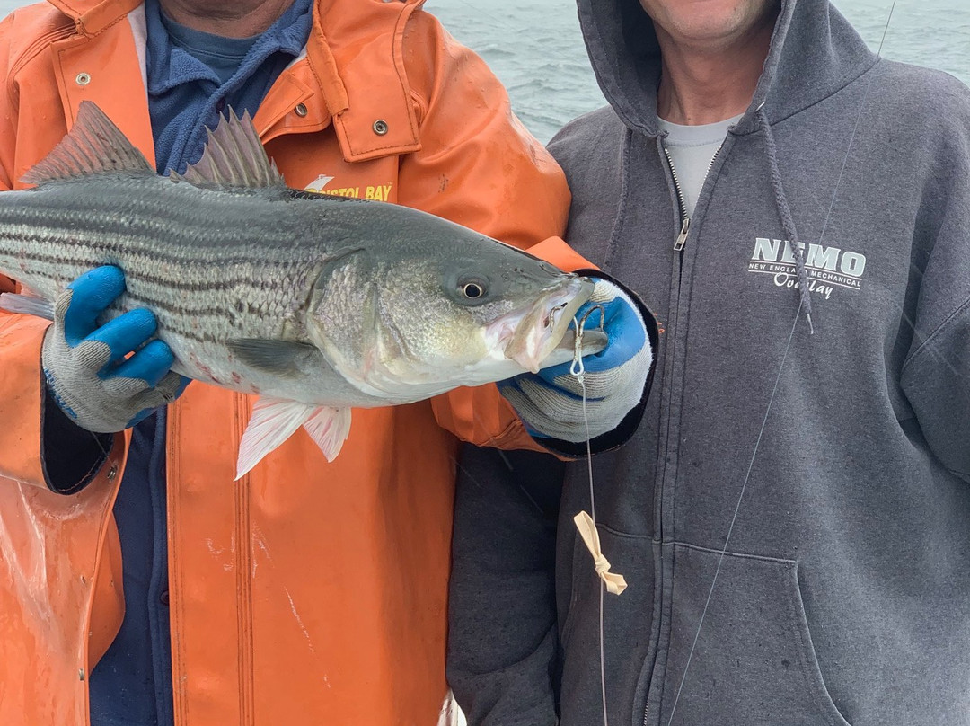 Abdow's Magic charters-查塔姆必去景点