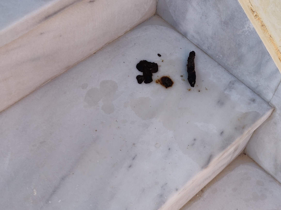 Red Tower Hotel and Suites主图