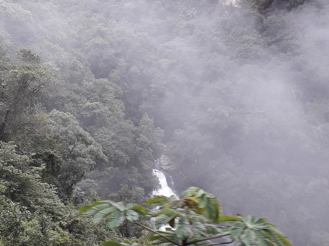 Veu de Noiva Waterfall景点图片