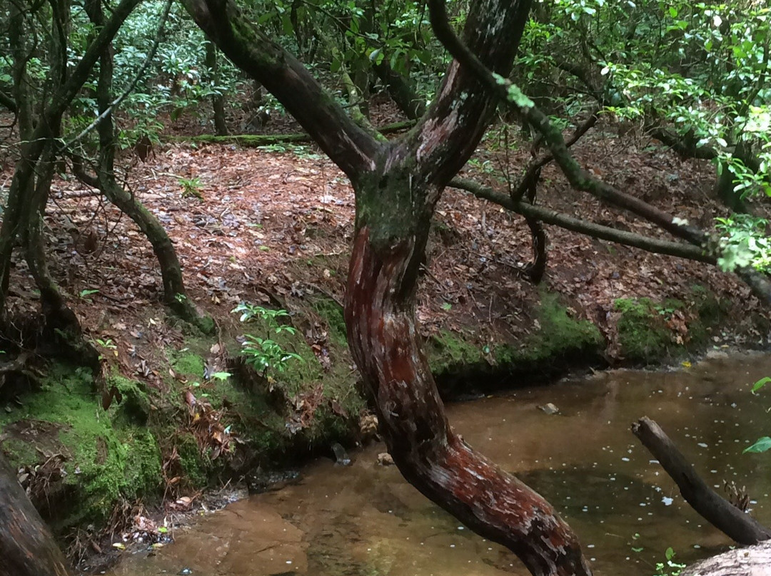 Raven Rock State Park景点图片