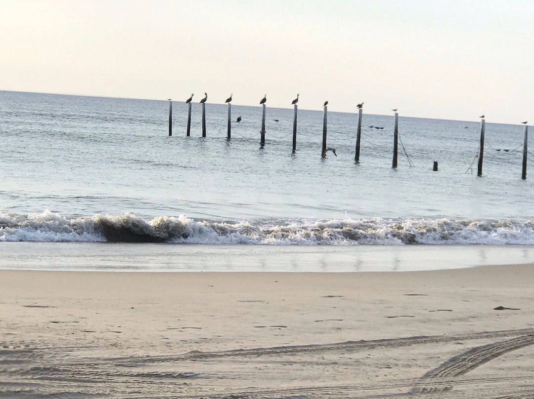 Carova Beach-Carova必去景点