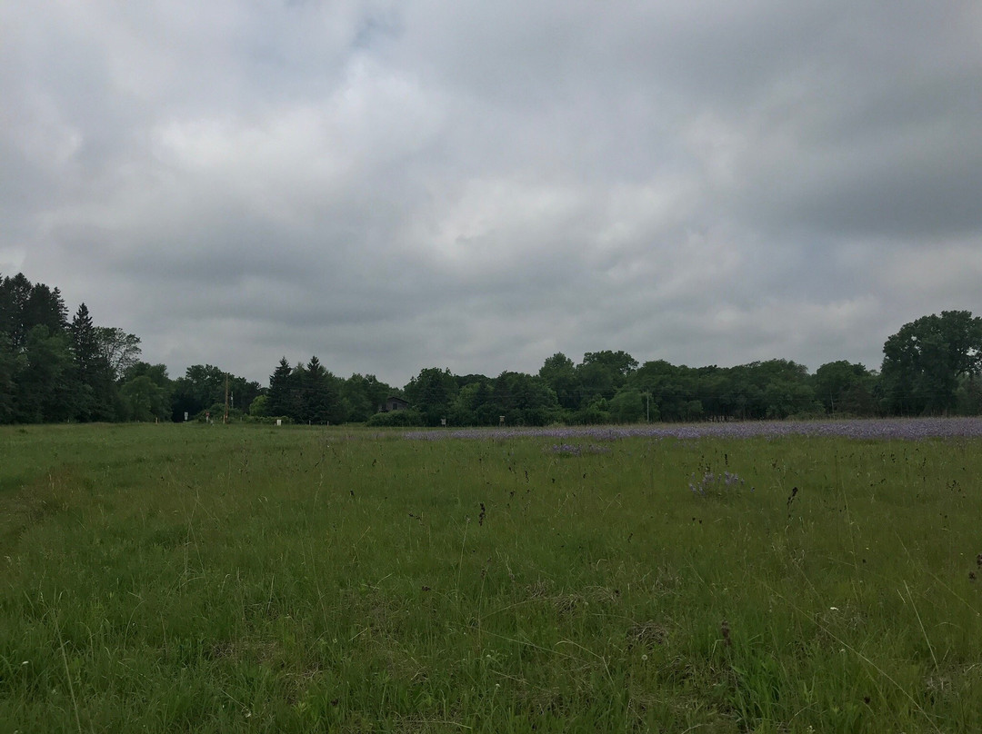 Carpenter St. Croix Valley Nature Center景点图片