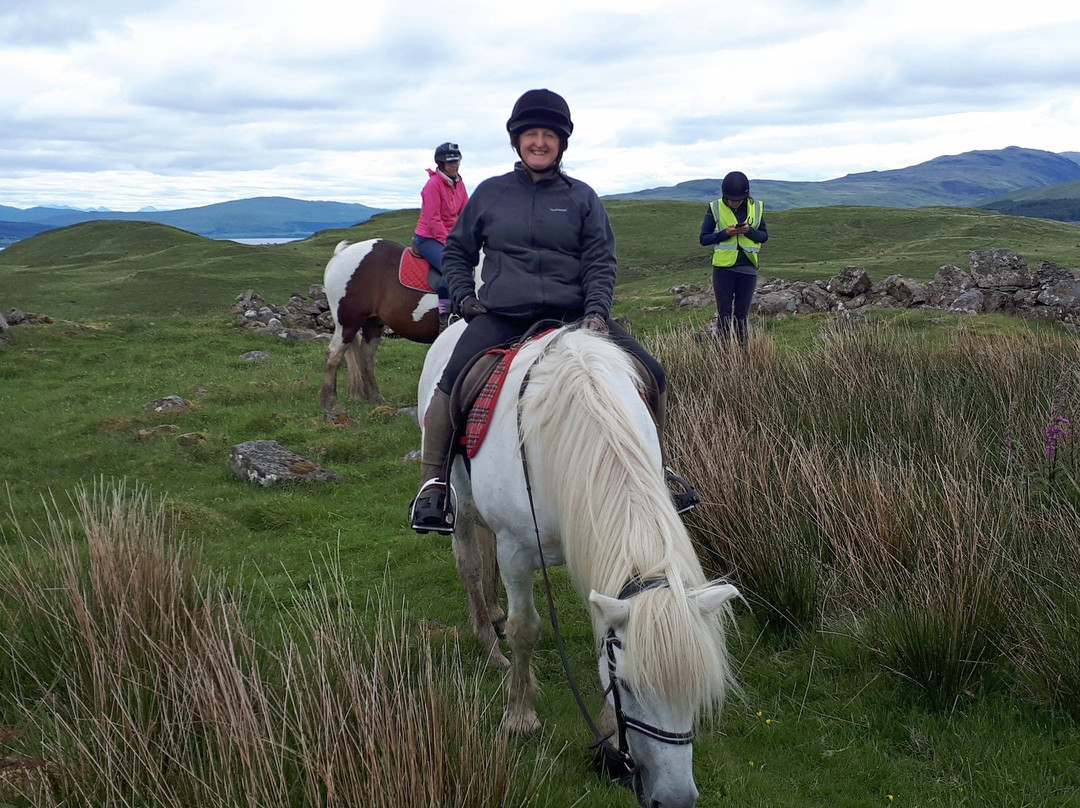 Mull Pony Trekking景点图片