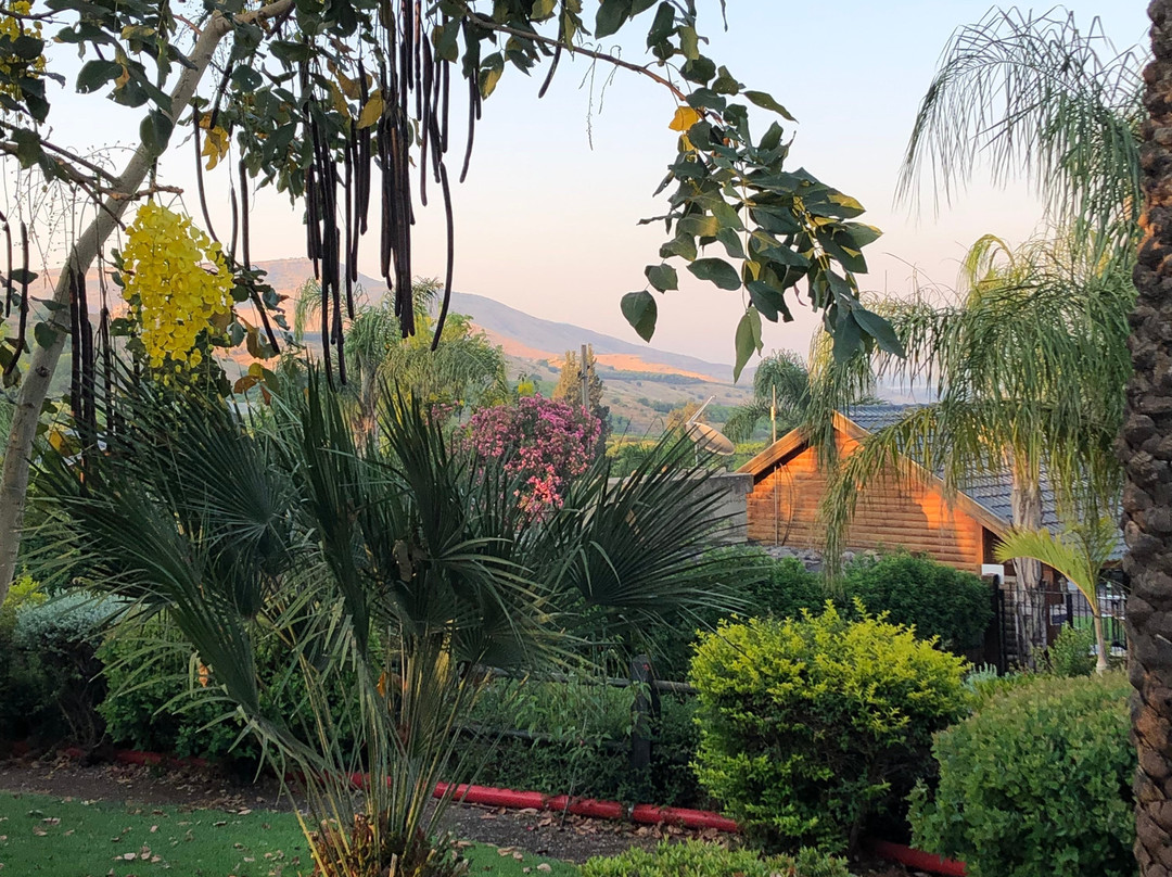 Ramot Resort Hotel主图