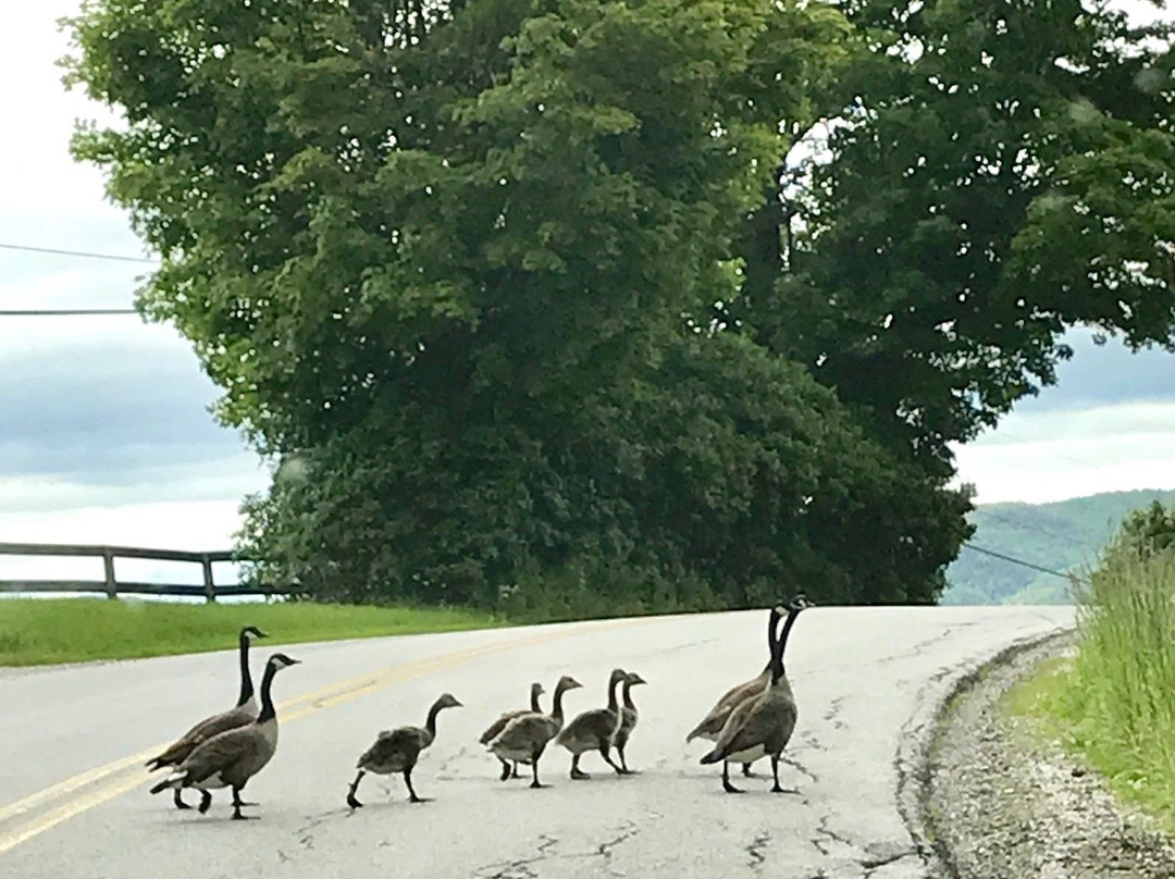 Green's Sugarhouse-Poultney必去景点
