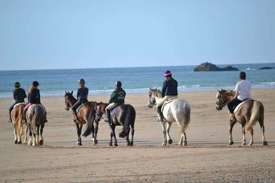 Reen Manor Riding School-佩伦波思必去景点