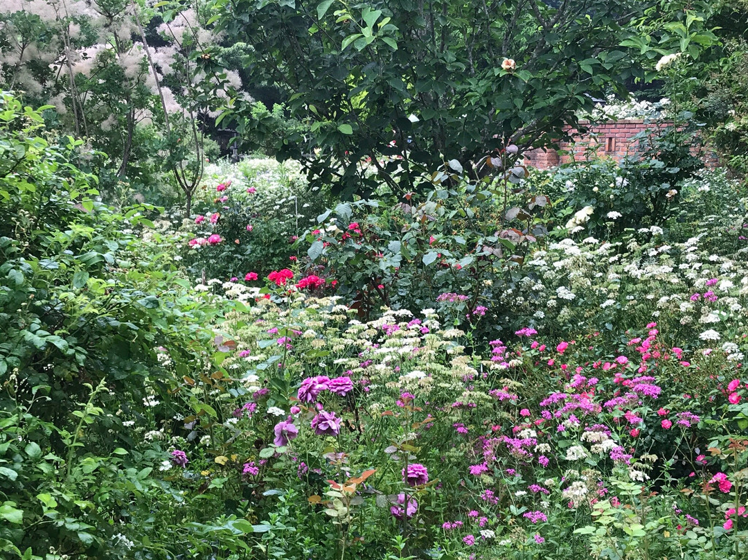 The Dreaming Place Rose Garden-君津市必去景点