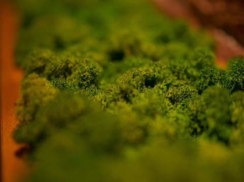 Hookah Place Kaliningrad-加里宁格勒必去景点