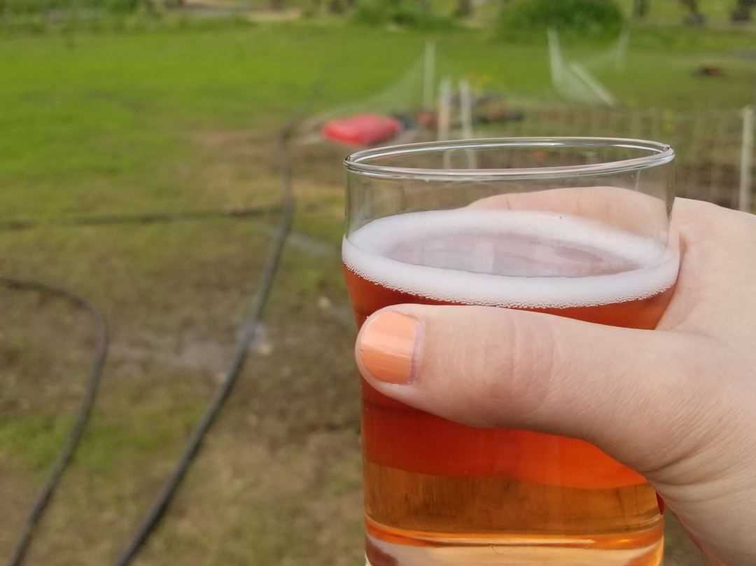 Virtue Cider & Farm景点图片