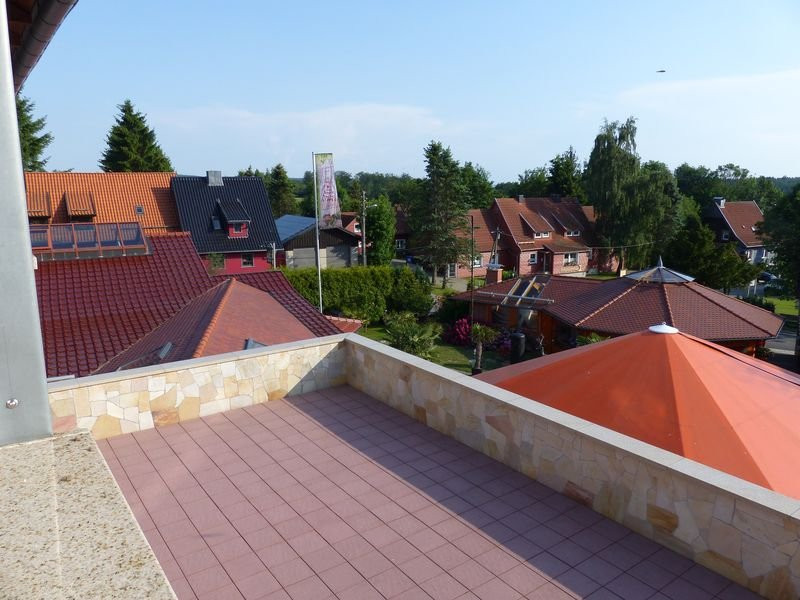 Brauner Hirsch主图