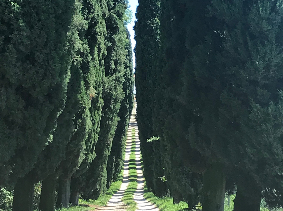 Agriturismo Pratello主图