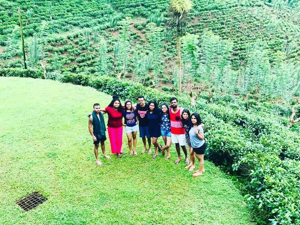 Nest Wood Bungalow主图