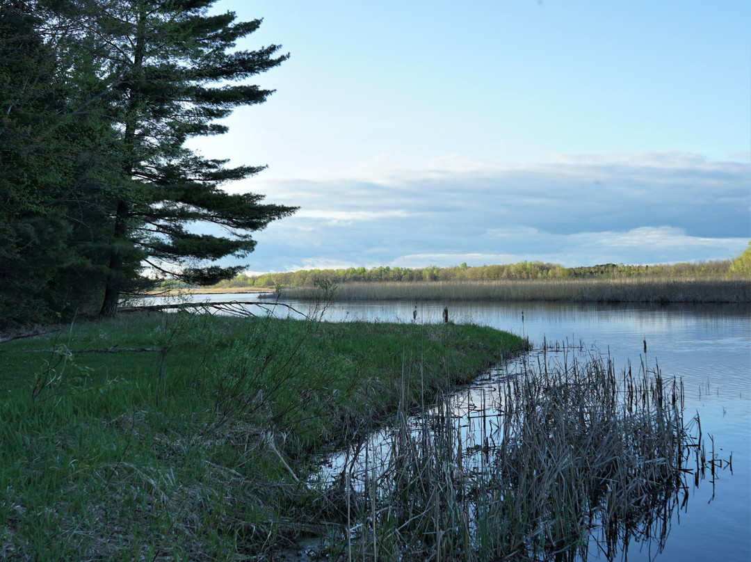 Schoolcraft State Park景点图片