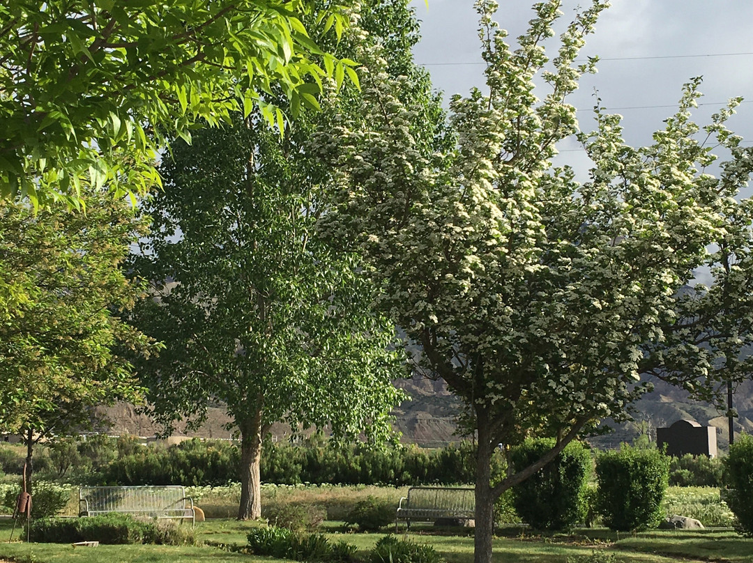 Parachute Branch Library-Parachute必去景点