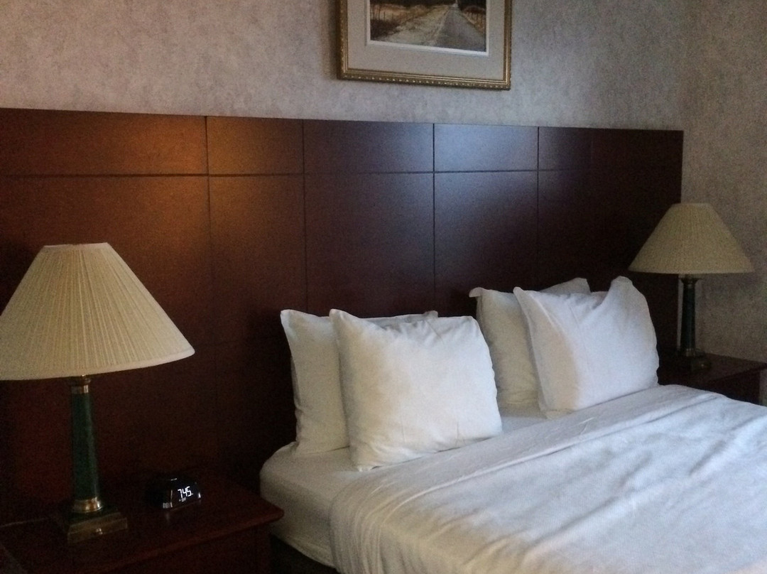 Quality Suites主图