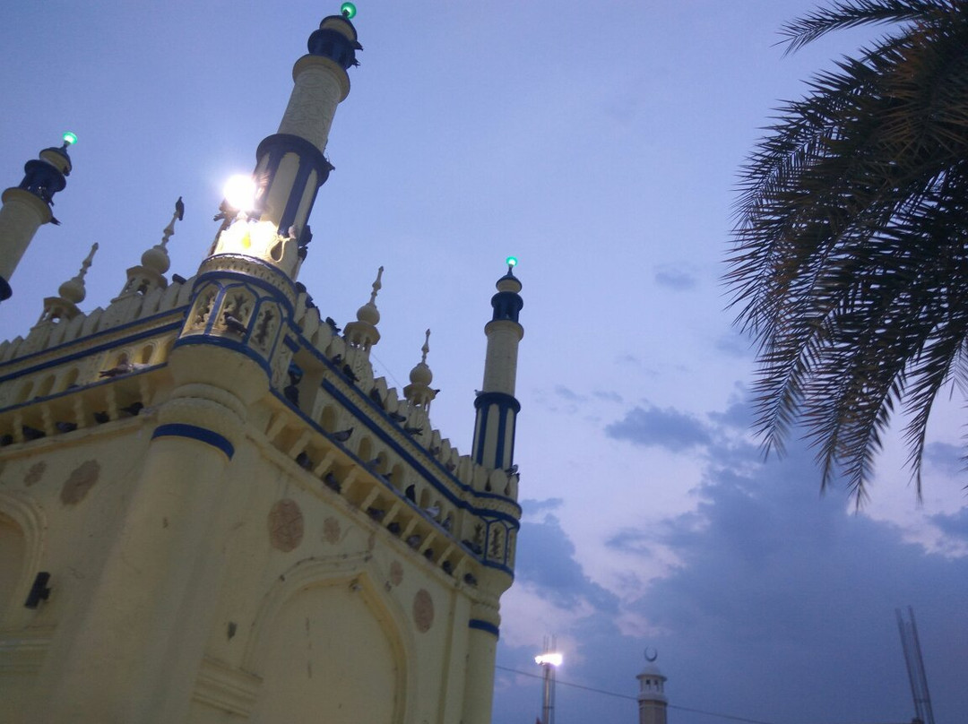 Ameen Peer Dargah Shrine景点图片