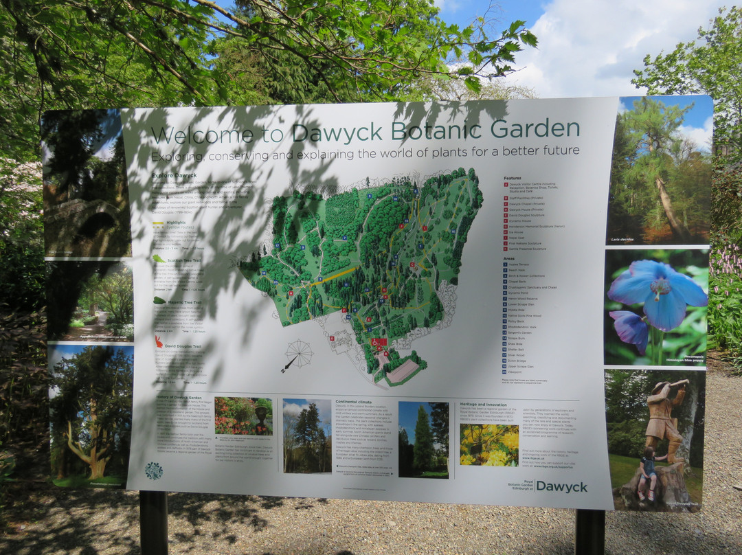 Dawyck Botanic Garden and Cafe景点图片