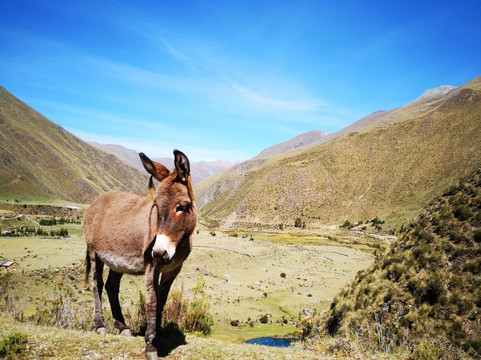Mundo Aventura - Day Tours-利马必去景点