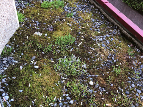 Au Parc Hotel Fribourg