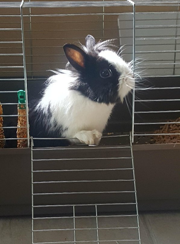 La Casa Nella Prateria B&B主图