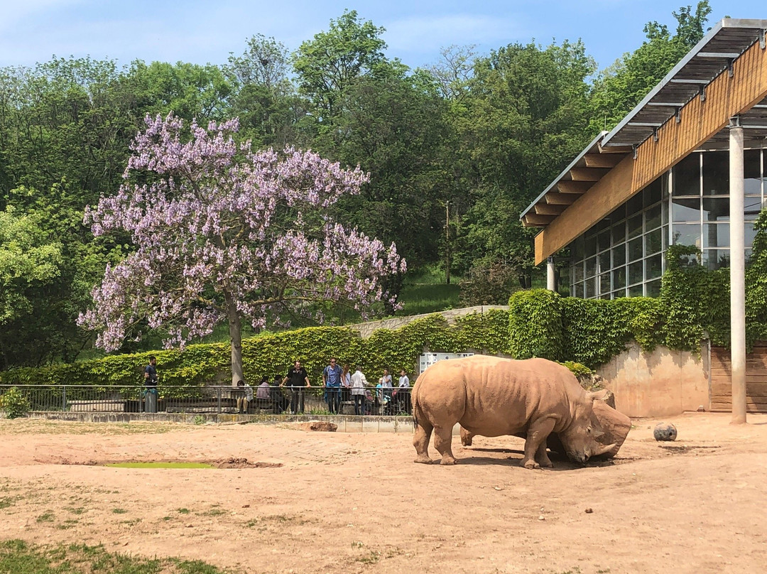 Zoopark Erfurt景点图片