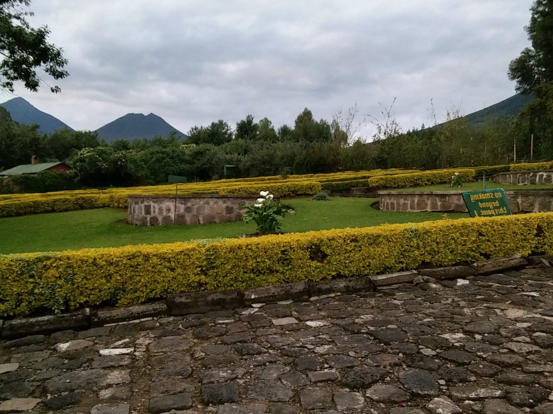 Volcanoes National Park-Ruhengeri必去景点