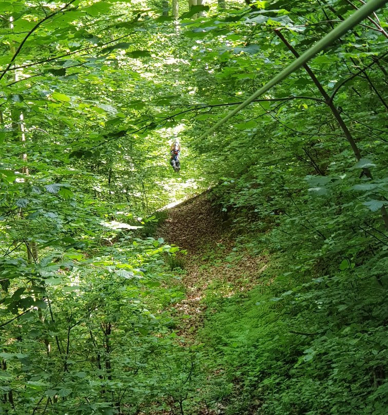 Erlebniskletterwald-罗拉克必去景点