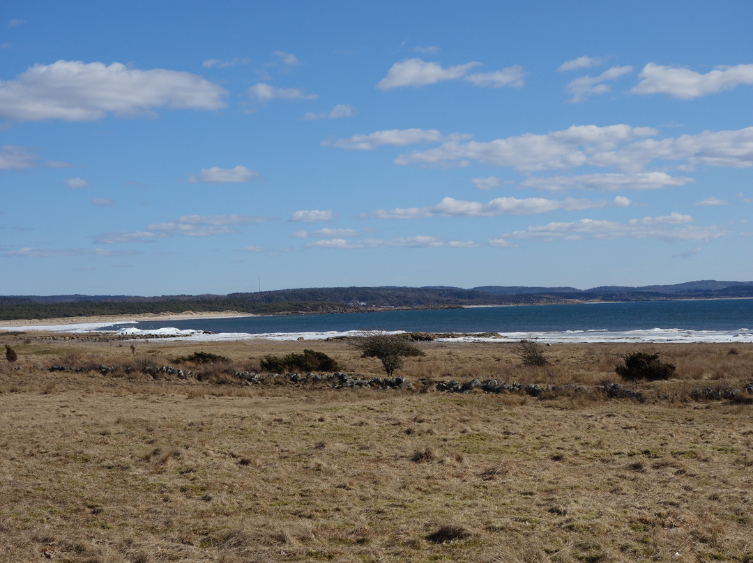 Grimsholmen Nature Reserve-Falkenberg必去景点