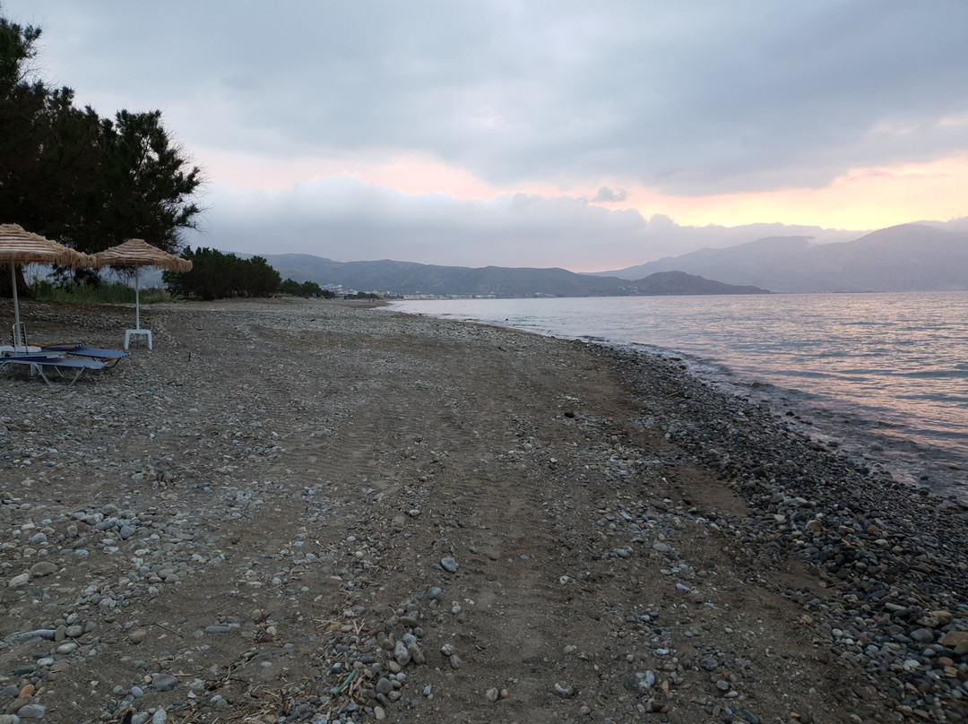 Mediterranean Hotel & Apartments主图