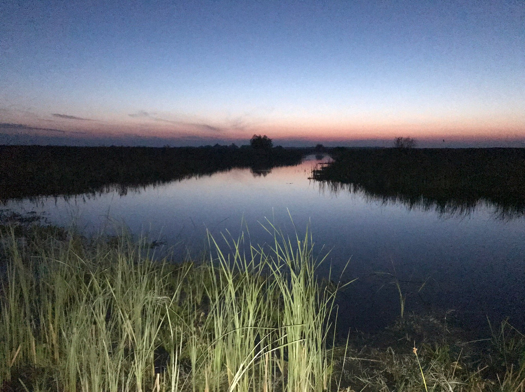 Kayak Danube Delta景点图片