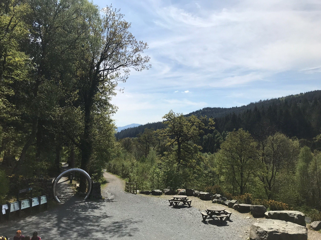Rhaeadr Ddu and Coed Ganllwyd Walk景点图片
