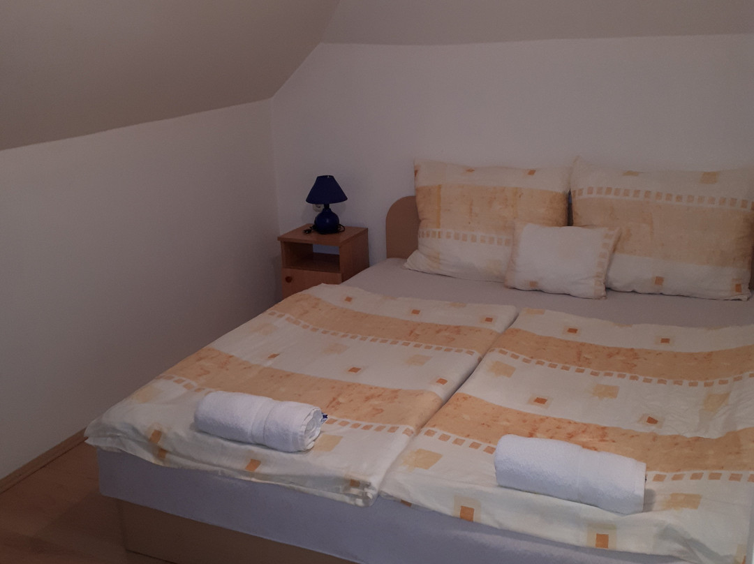 Ovar Apartman Hotel主图