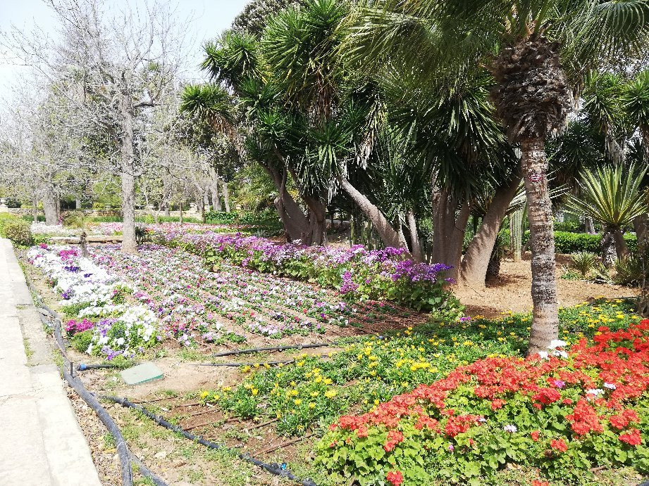 San Anton Gardens景点图片