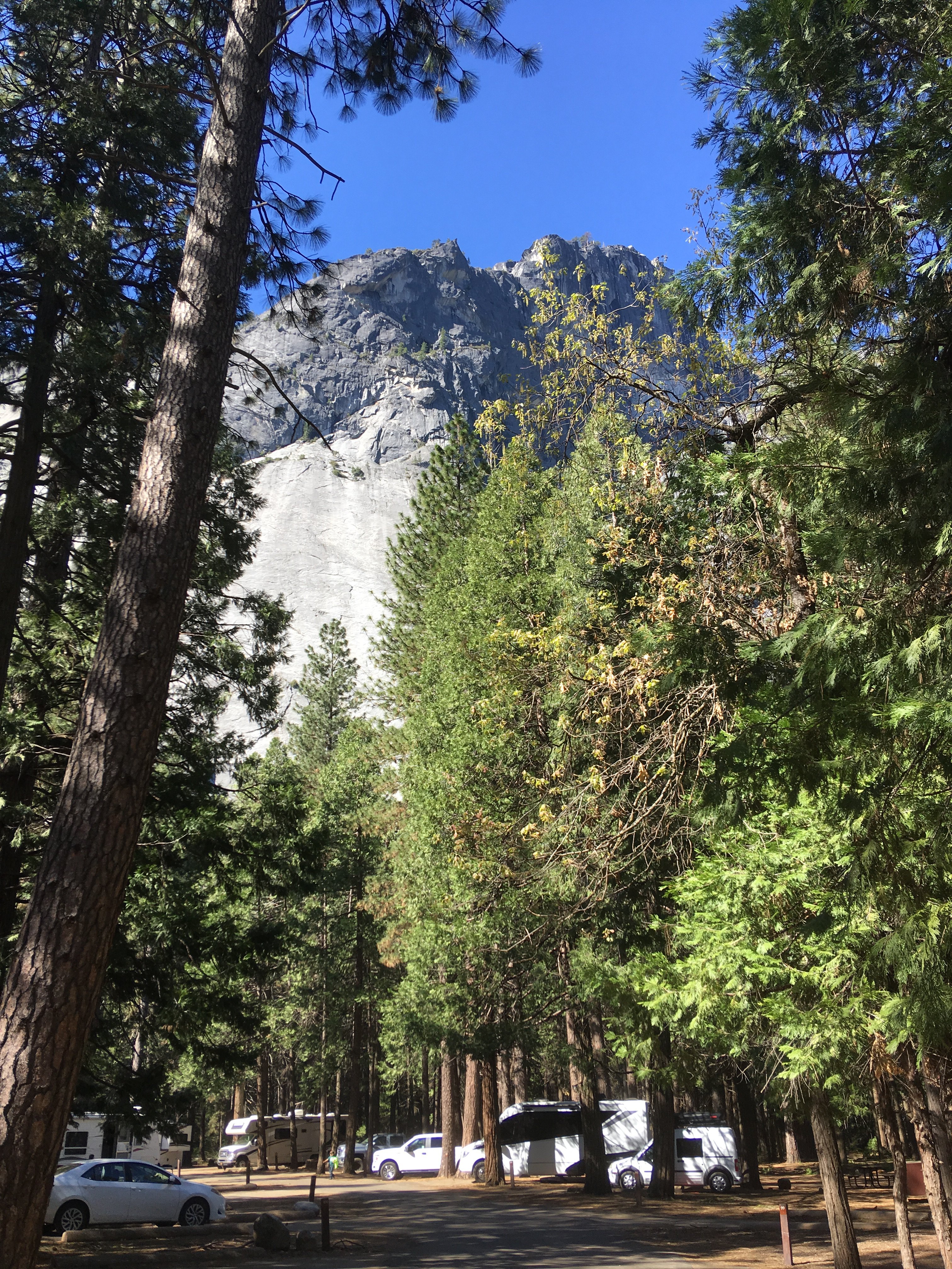 Upper Pines Campground-浴室