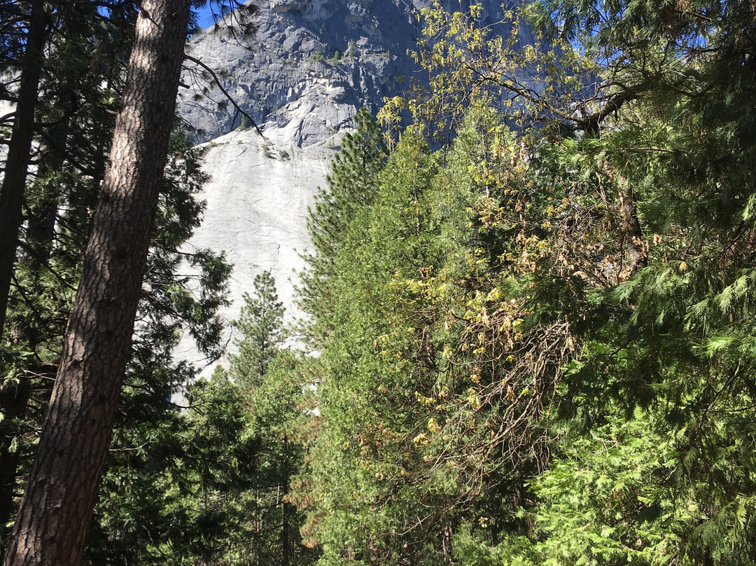 Upper Pines Campground主图