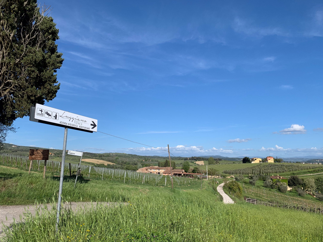 Azienda Agricola Luggiano-芬奇必去景点