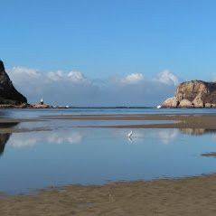 Knysna Deep Sea Fishing Charters-克尼斯纳必去景点