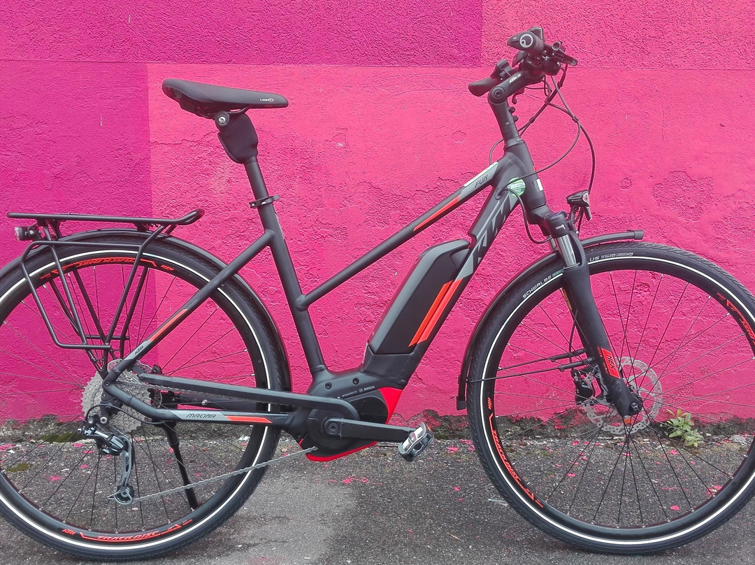 joyrides e-bike rental-海德尔堡必去景点