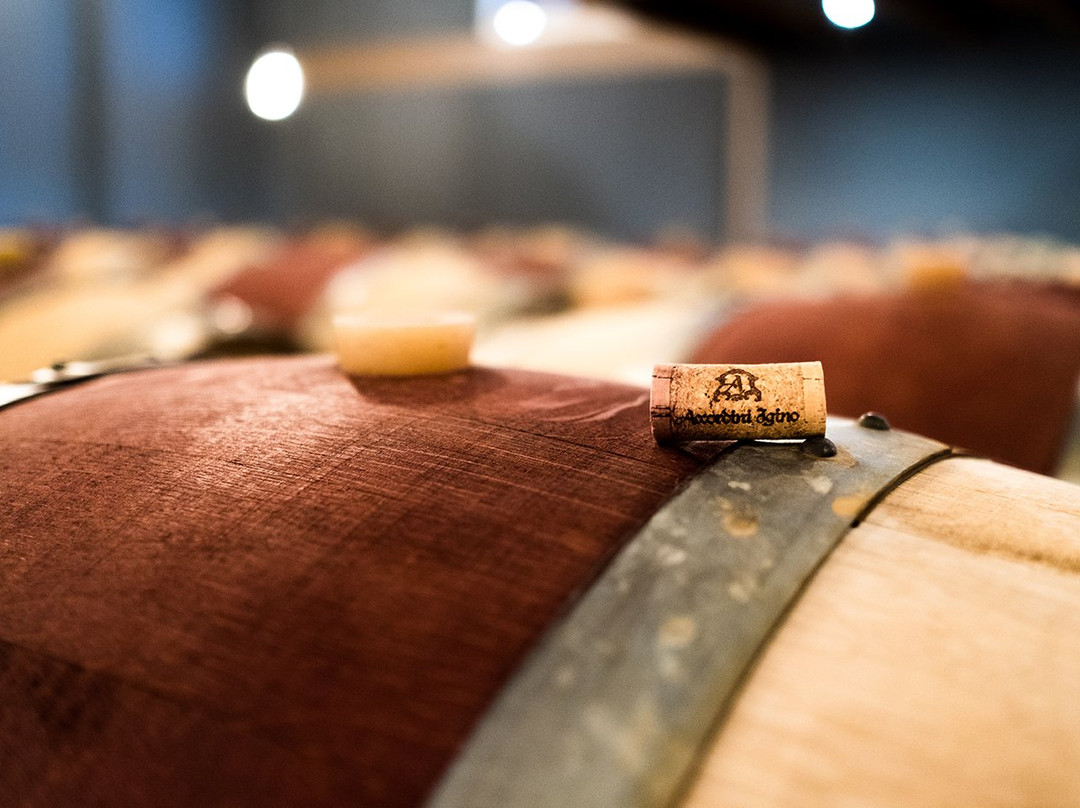 Accordini Igino Winery景点图片