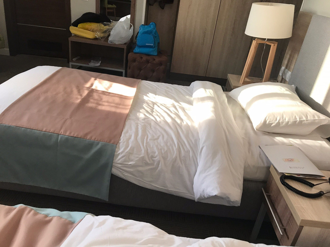 Green Which Hotel主图