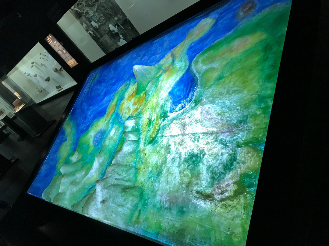 Museo Mapuka-Barranquilla必去景点