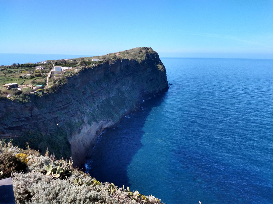 Ventotene旅游景点-Museo della migrazione e osservatorio ornitologico