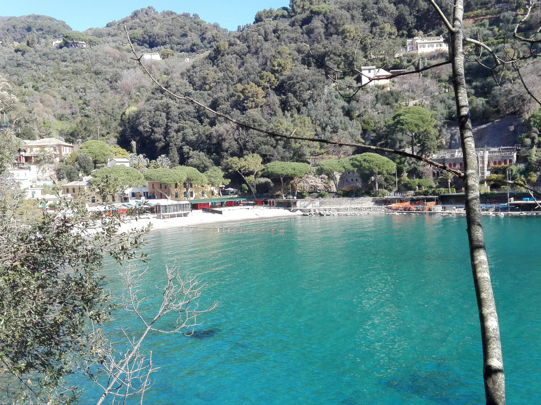 Hotel Argentina Portofino主图